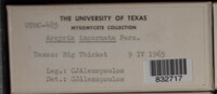 Image Associated With the Occurence